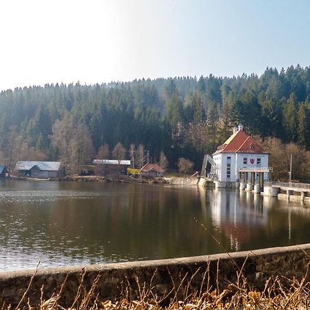 Ferienhaus Nr 18B1, Feriendorf Hagbuegerl, Bayr Wald Waldmünchen Exteriör bild